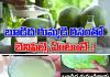 గ్యాస్ట్రిక్ సమస్య ... ఎసిడిటీ తో విసిగిపోతున్నారా?