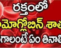 మన శరీరంలో రక్తం తగ్గితే ఏమవుతుంది?